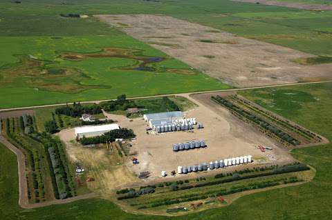 Diefenbaker Spice & Pulse (formerly Diefenbaker Seed Processors Inc)